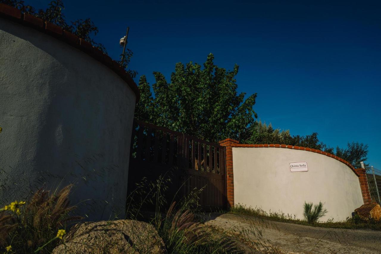 Quinta Sofia Valle De Guadalupe (Adults Only) Dış mekan fotoğraf