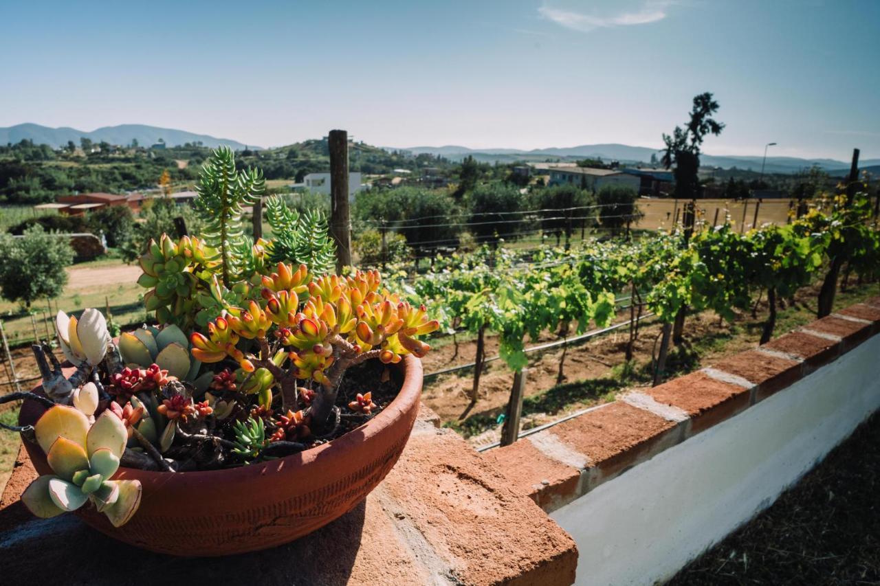 Quinta Sofia Valle De Guadalupe (Adults Only) Dış mekan fotoğraf