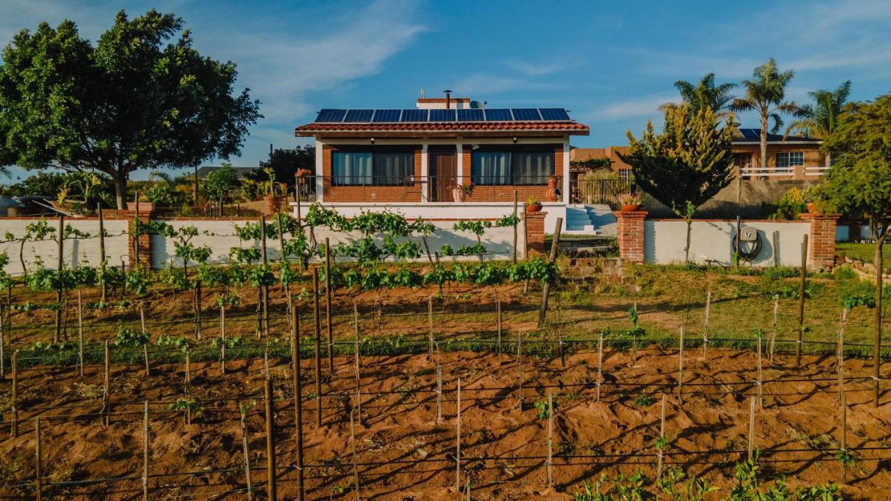 Quinta Sofia Valle De Guadalupe - Solo Adultos Dış mekan fotoğraf