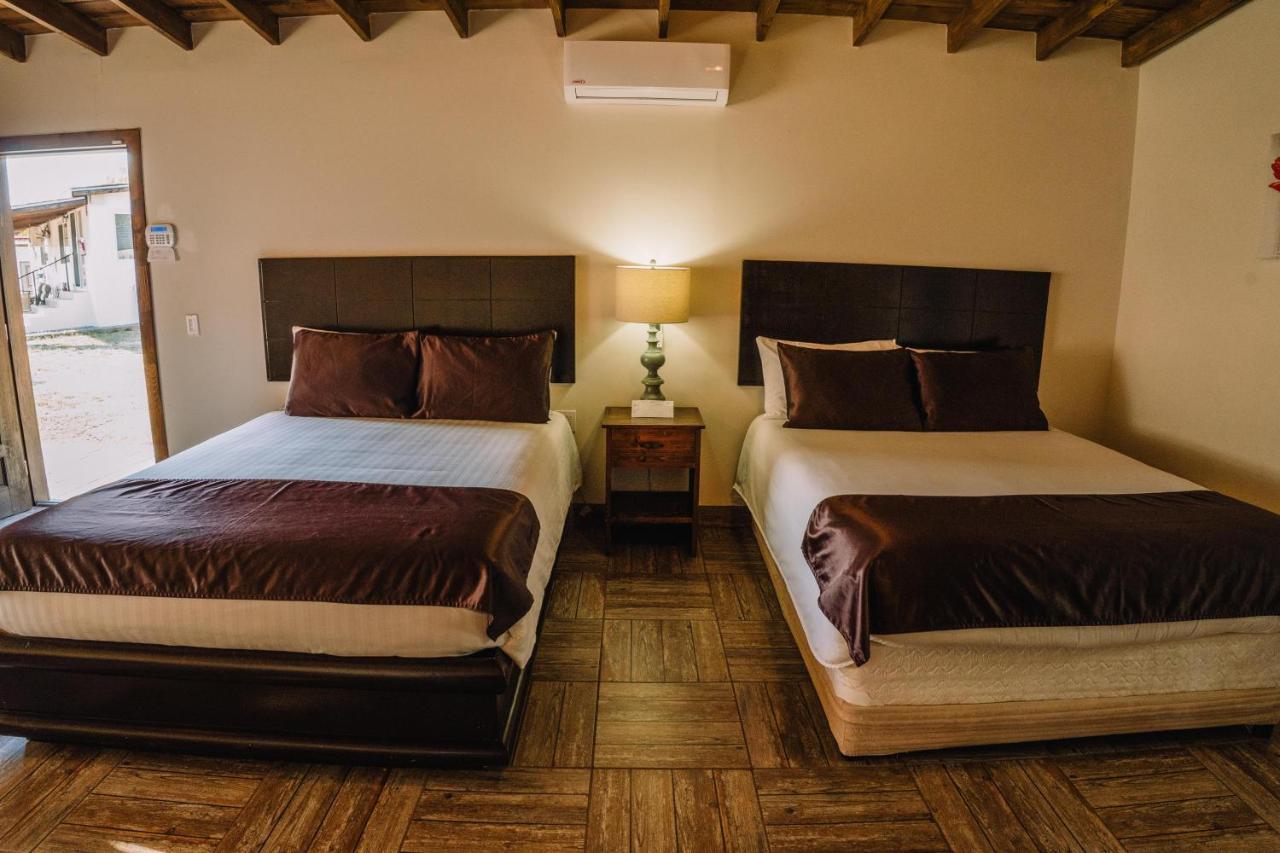 Quinta Sofia Valle De Guadalupe (Adults Only) Dış mekan fotoğraf