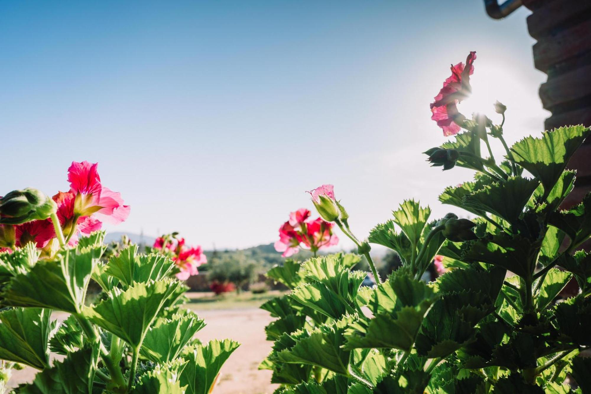 Quinta Sofia Valle De Guadalupe - Solo Adultos Dış mekan fotoğraf