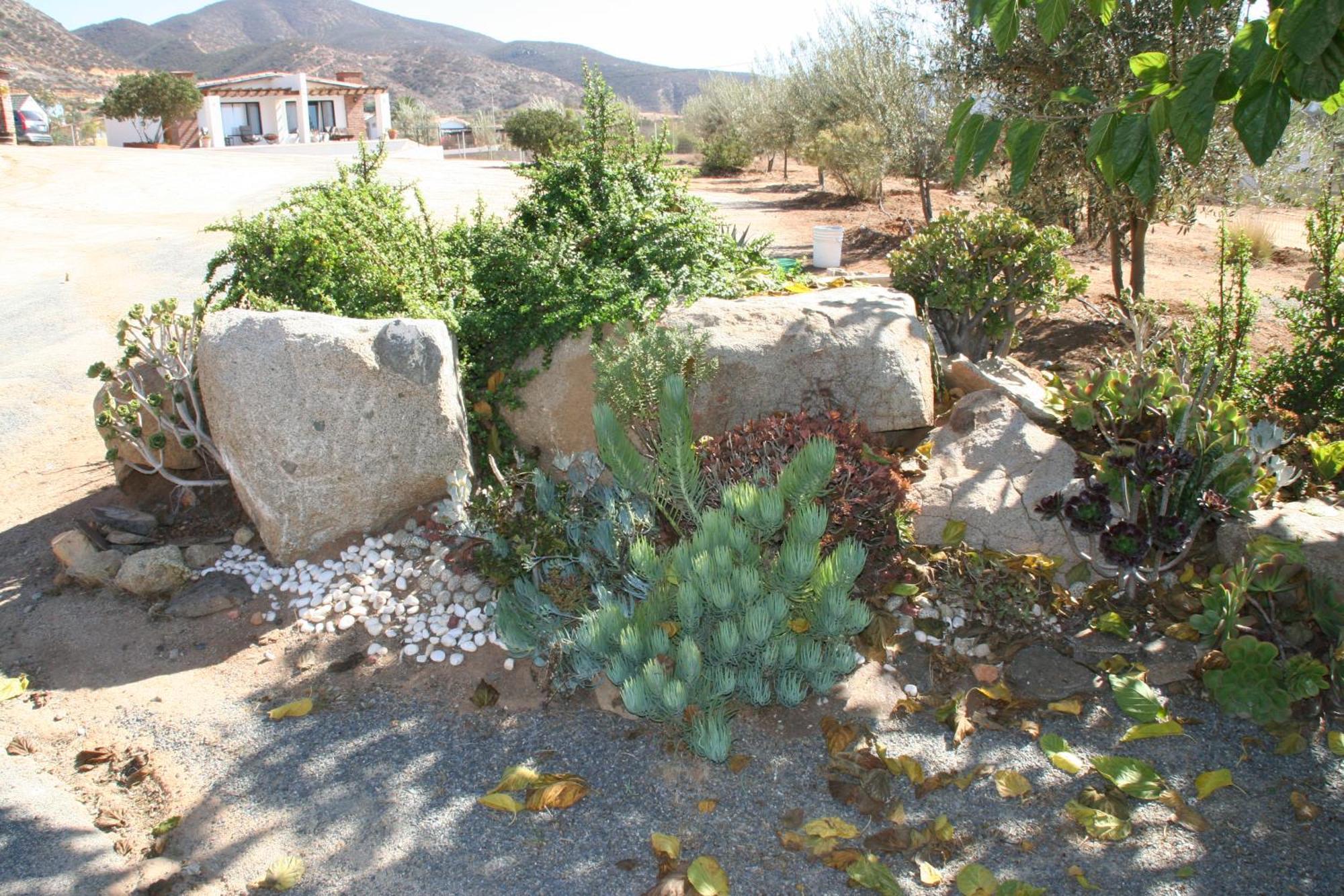 Quinta Sofia Valle De Guadalupe (Adults Only) Dış mekan fotoğraf
