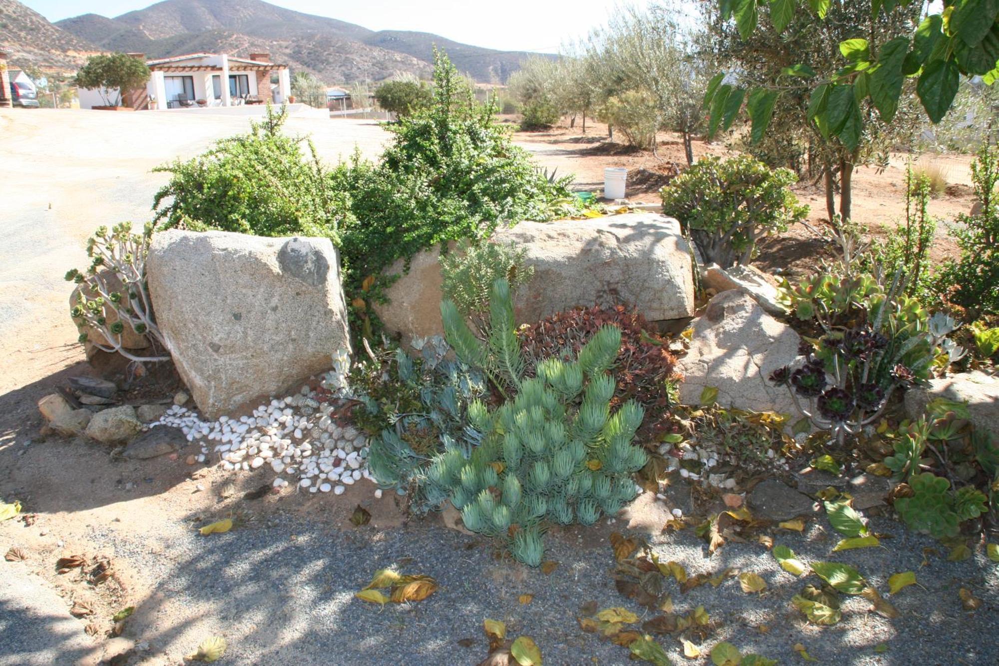 Quinta Sofia Valle De Guadalupe - Solo Adultos Dış mekan fotoğraf