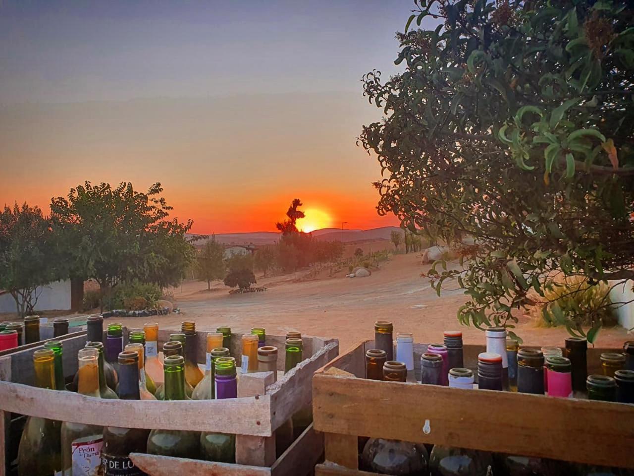 Quinta Sofia Valle De Guadalupe (Adults Only) Dış mekan fotoğraf