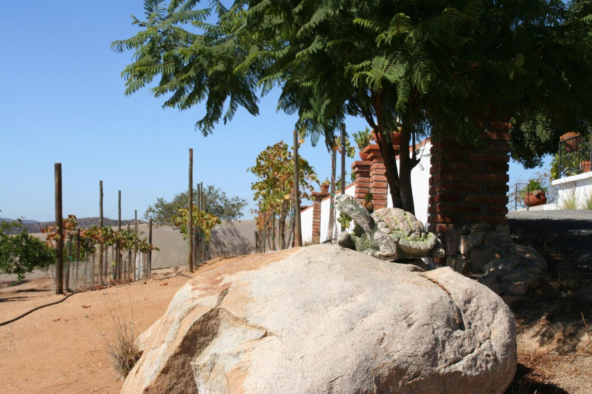 Quinta Sofia Valle De Guadalupe (Adults Only) Dış mekan fotoğraf