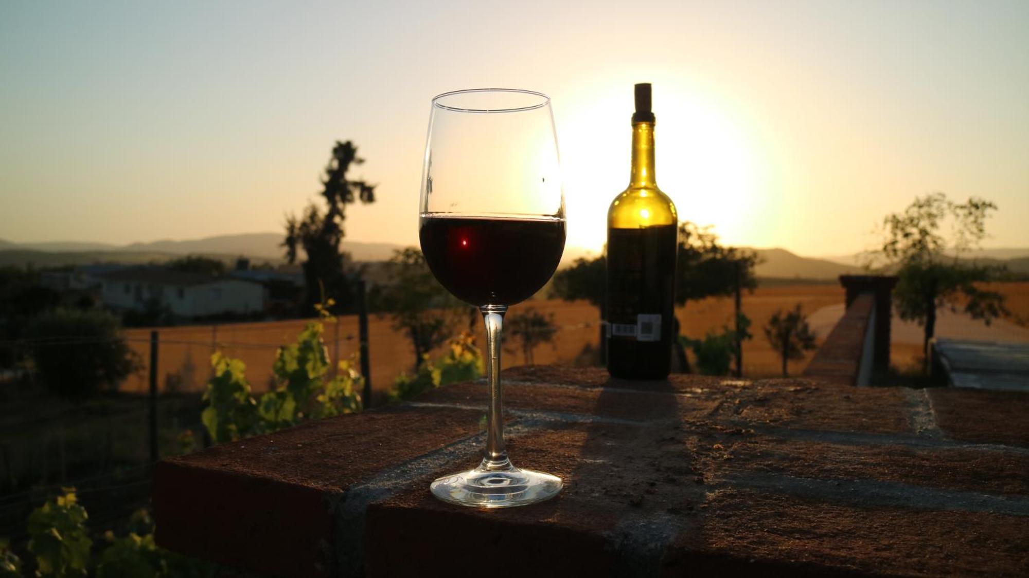 Quinta Sofia Valle De Guadalupe (Adults Only) Dış mekan fotoğraf