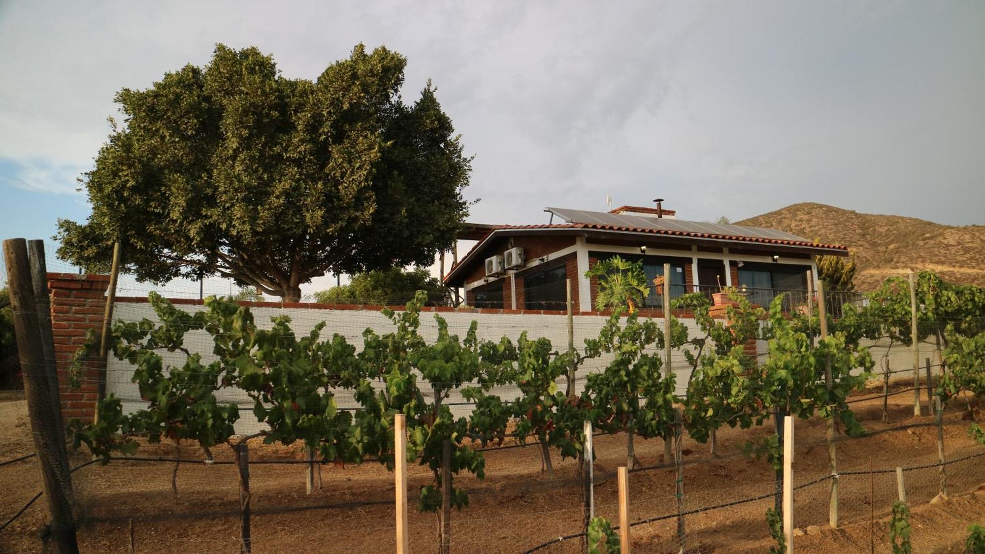 Quinta Sofia Valle De Guadalupe (Adults Only) Dış mekan fotoğraf