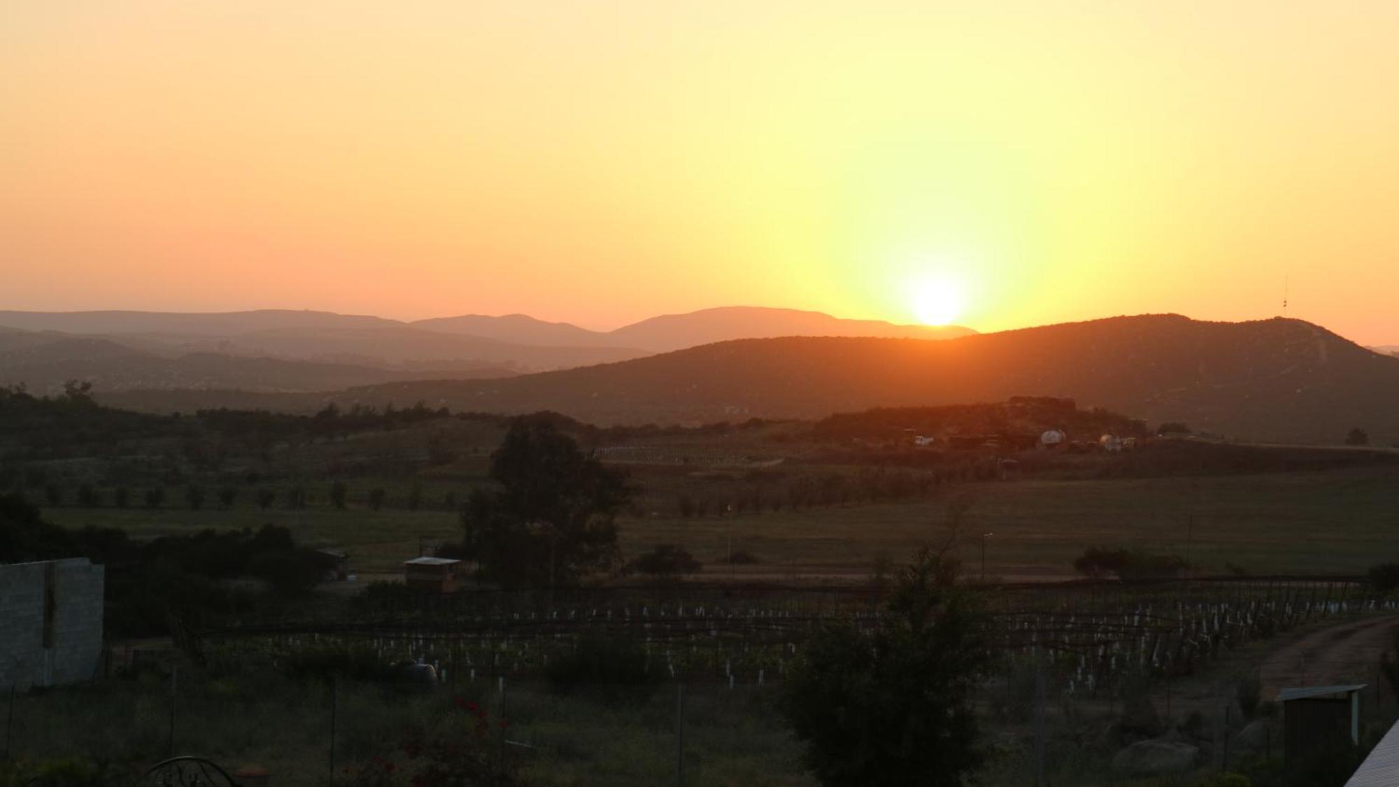 Quinta Sofia Valle De Guadalupe (Adults Only) Dış mekan fotoğraf
