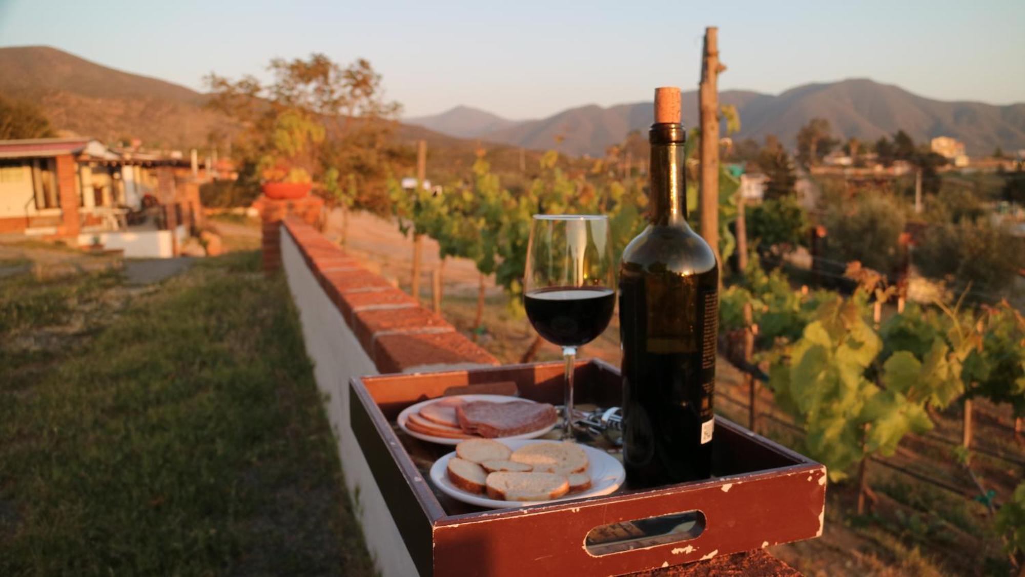 Quinta Sofia Valle De Guadalupe (Adults Only) Dış mekan fotoğraf