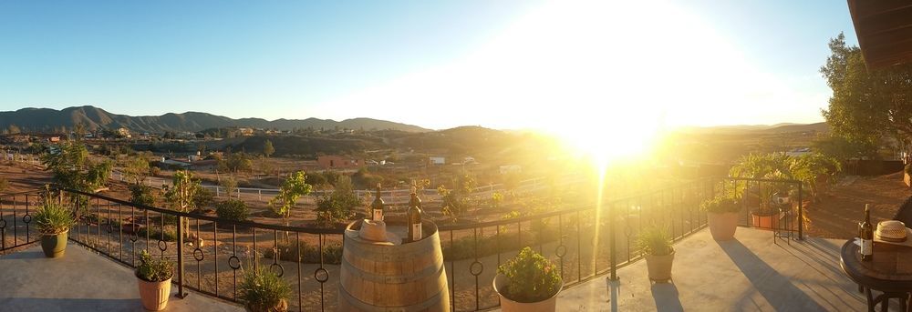 Quinta Sofia Valle De Guadalupe - Solo Adultos Dış mekan fotoğraf